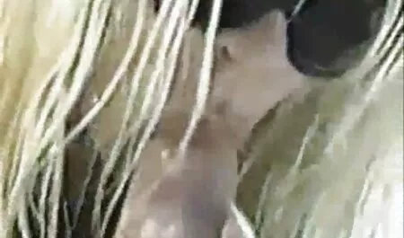 Horny Lily se cache de Lily sex arabe violent anal.