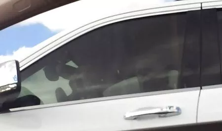 Femme enceinte emirat porno rencontre son mari