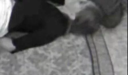 Souriante jeune fille nue porno arab 50