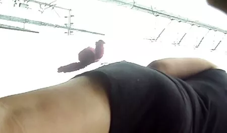 Babe avec gode xxxl porno arab à l'orgasme